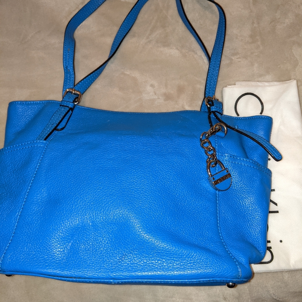 Calvin Klein blue purse